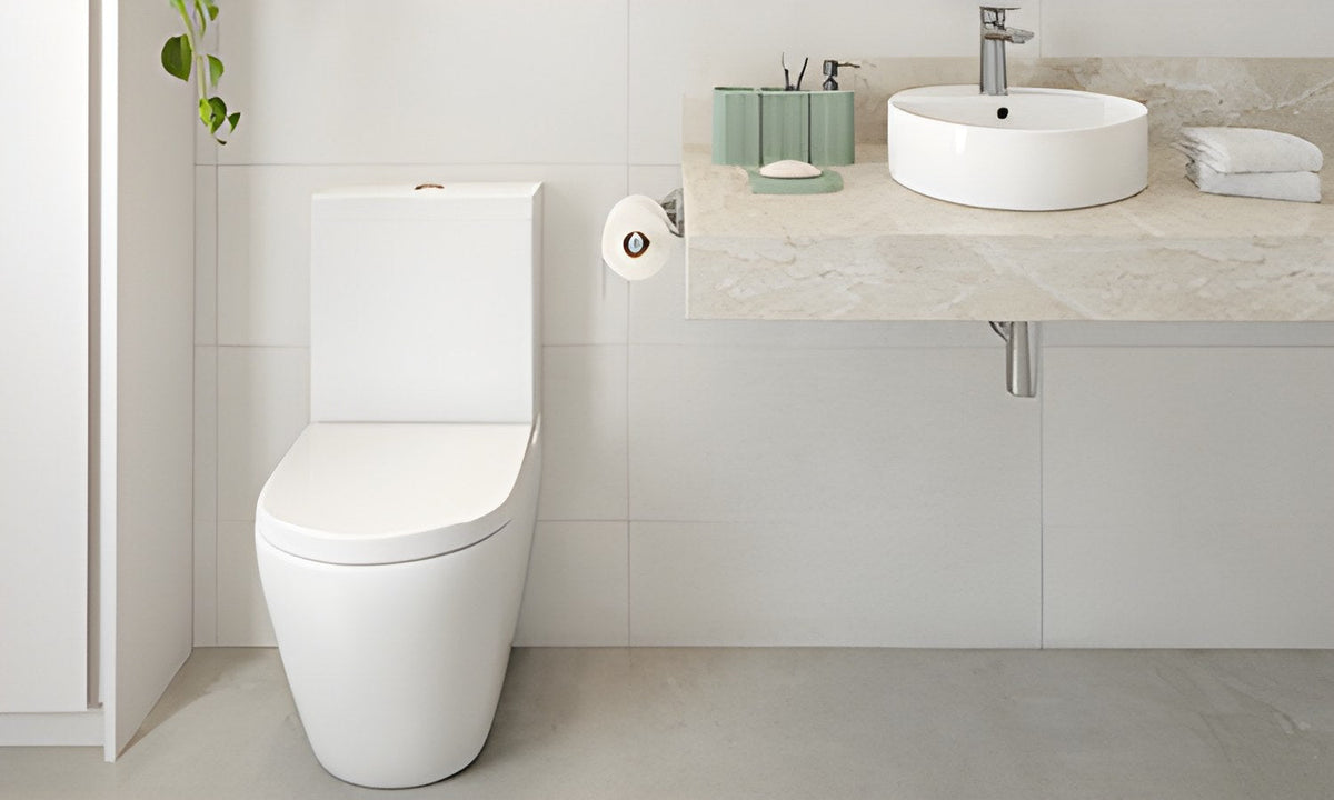 Best Ways to Clean Your Toilet blog