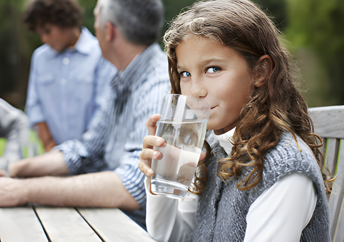 Water Filters | Buying Guide