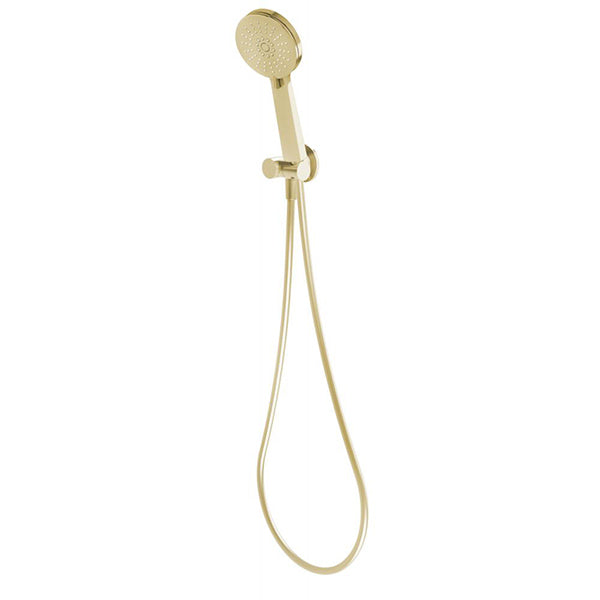 Phoenix Vivid round hand shower in brushed gold with hose and wall bracket on a white background