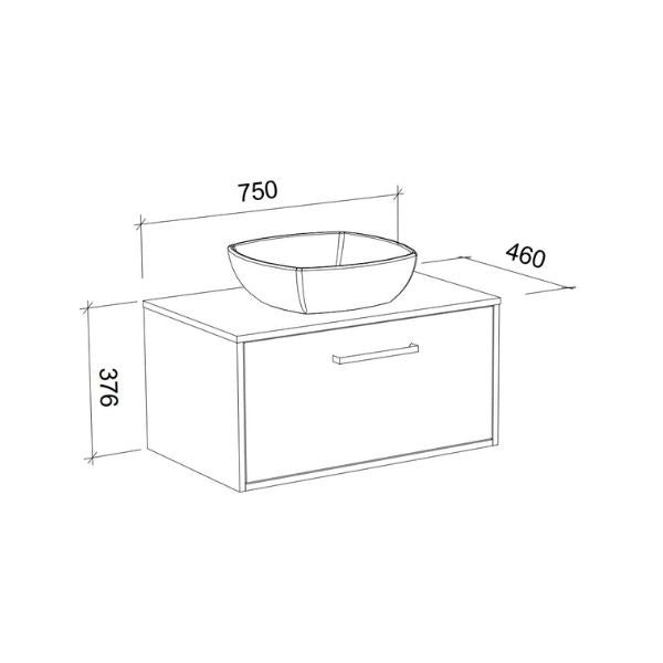 Technical line drawing of Timberline Delaware wall hung vanity with single basin, showing 750 x 460 x 376 mm dimensions