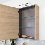 ADP Glacier Pro shaving cabinet open, showing graphite interior, glass shelves and woodgrain finish with mirror door hardware