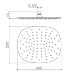 Caroma Contura II 300mm rain shower head, brushed bronze, technical dimension drawing with 300 x 250mm measurements