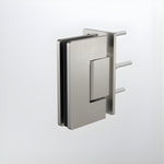 Caroma brushed nickel glass-to-wall shower door hinge with black insert, shown on a white background