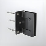 Caroma glass to wall shower door hinge in gunmetal, shown in a product detail view on white background