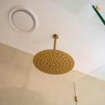 Caroma 300mm round rain shower head in brushed brass, shown installed in a modern bathroom ceiling view
