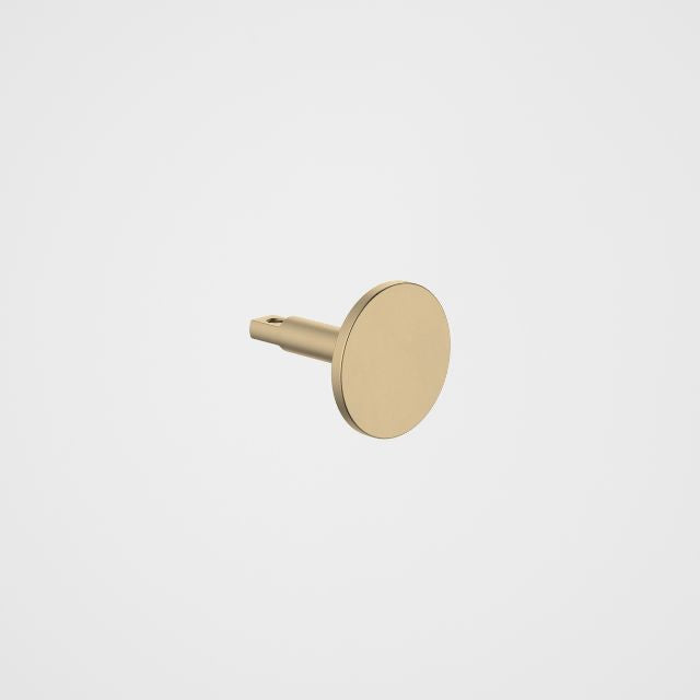 Caroma Urbane II brushed brass robe hook, round wall-mounted bathroom accessory on white background