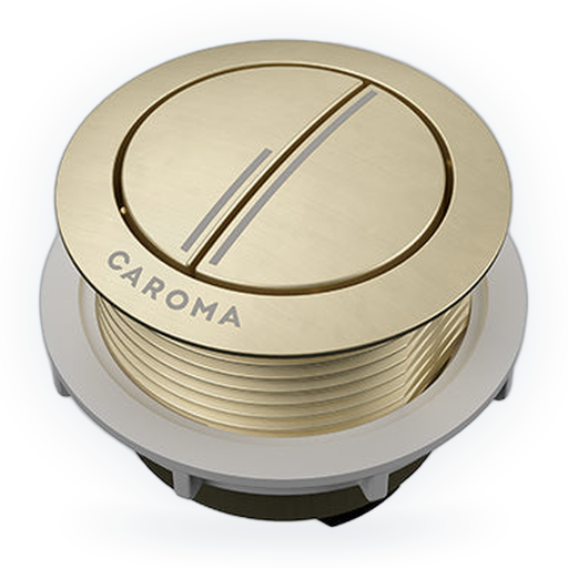 cistern toilet buttons