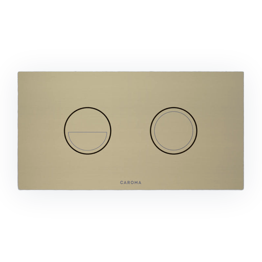 concealed toilet buttons