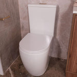 Fienza Alix Extra Height Back-to-Wall Toilet Suite With Slim Seat