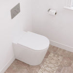 Fienza Aluca wall-faced toilet suite with slim white seat, shown installed against a white wall with flush plate and paper holder