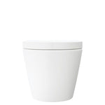 Fienza Koko Tornado Flush Wall Hung Toilet Suite Matte White