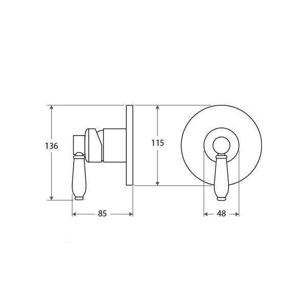 Fienza Eleanor wall mixer chrome technical drawing with dimensions, showing side and front views of the wall-mounted tap