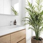 Phoenix Mekko basin mixer in chrome on a white bathroom vanity with mirror and plant styling