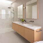 Caroma Urbane II brushed nickel twin rail shower in a modern bathroom, showing round overhead rose and handheld shower over vanity