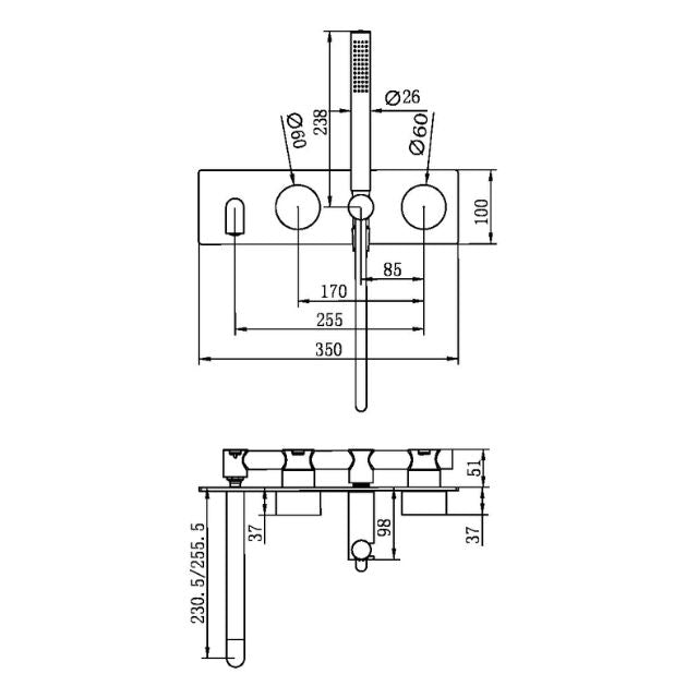 Nero Kara brushed nickel shower system with spout technical drawing, showing wall-mounted faceplate and 250mm spout dimensions