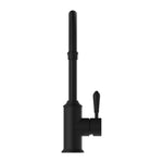 Nero York kitchen mixer tap in matte black with tall gooseneck spout and slim metal lever on white background