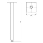 Phoenix Lexi ceiling shower arm technical drawing, square 300mm, brushed carbon finish, front and top views with dimensions