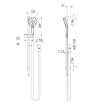 Phoenix Ormond Rail Shower Brushed Nickel