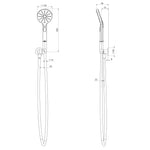 Phoenix Vivid MKII Hand Shower - Brushed Gold