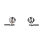 Raymor Alpha brushed nickel wall top assemblies, hot and cold pair with lever handles on white background