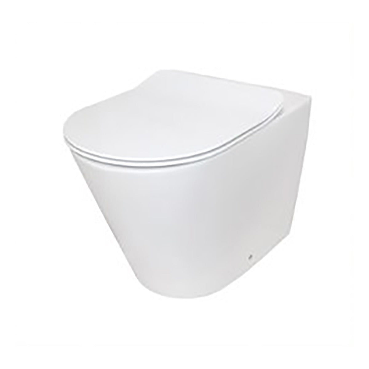 Raymor Edge II wall-faced rimless toilet pan with slim white seat, front view