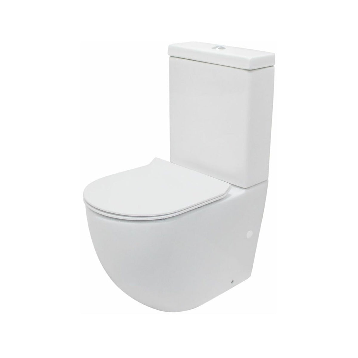Raymor Winton back to wall toilet suite with slim seat, white, front angle view