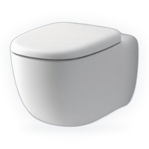 wall hung toilets