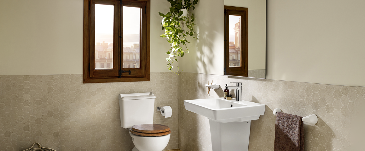 Bathroom featuring the Devil's Ivy plant